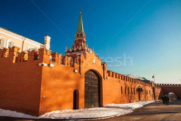 Red Square Winter Moskau Russland Gebäude Kirche Stock foto © goinyk