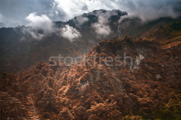 Beautiful Asian landscape Stock photo © goinyk