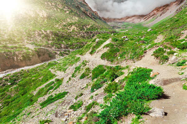 Trekking in Nepal Stock photo © goinyk