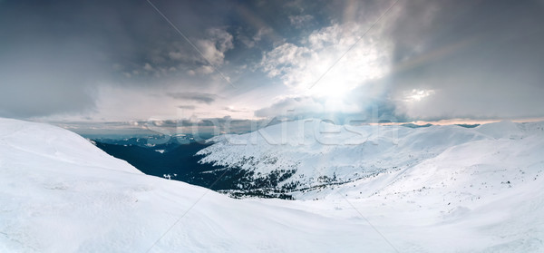 Panoramic winter landscape Stock photo © goinyk