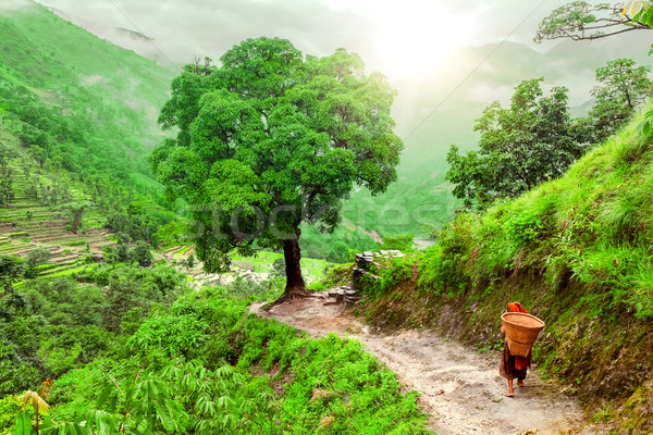 Imagine de stoc: Trekking · Nepal · frumos · peisaj · himalaya · munţi