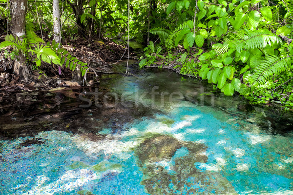 翠 水池 藍色 喀比 泰國 木 商業照片 © goinyk