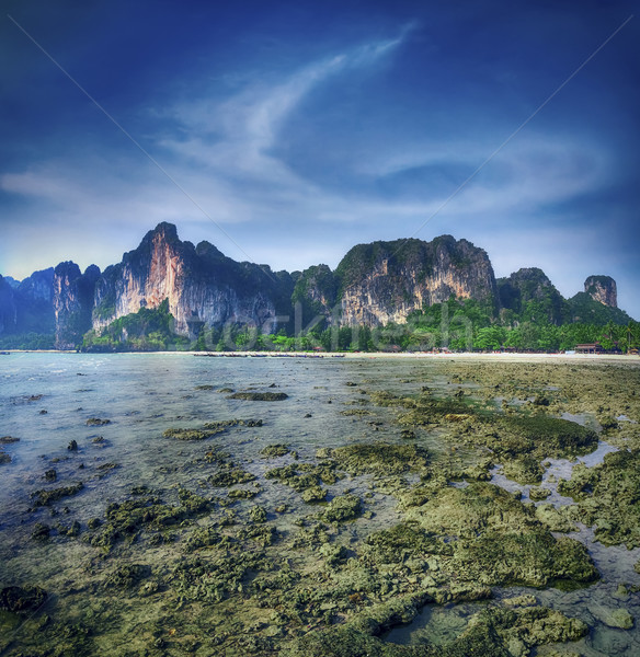 島 泰國 早晨 完美 訴諸 景觀 商業照片 © goinyk