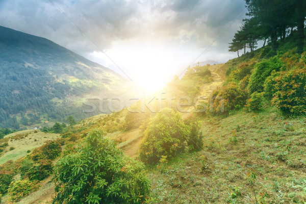 красивой горные пейзаж мнение Эверест регион Сток-фото © goinyk