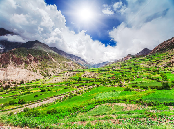 Trekking in Nepal Stock photo © goinyk