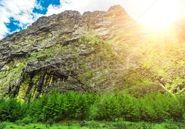 Trekking in Nepal Stock photo © goinyk