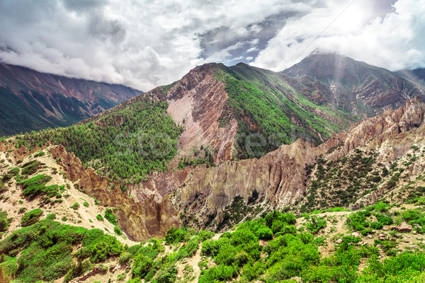 Trekking in Nepal Stock photo © goinyk