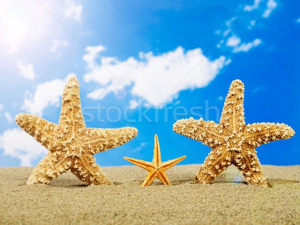 Denizyıldızı aile kum gökyüzü güneş turizm Stok fotoğraf © goir