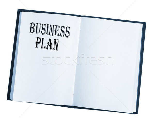 Сток-фото: бизнеса · плана · книга · белый · бумаги · сведению
