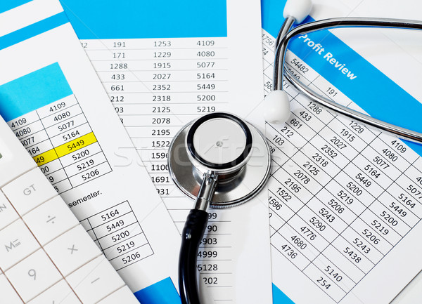 Profit review Stock photo © goir