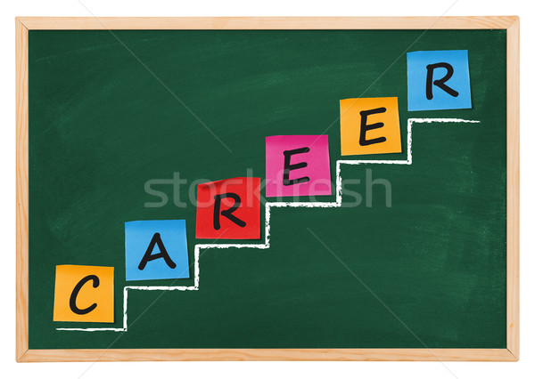 Career diagram Stock photo © goir