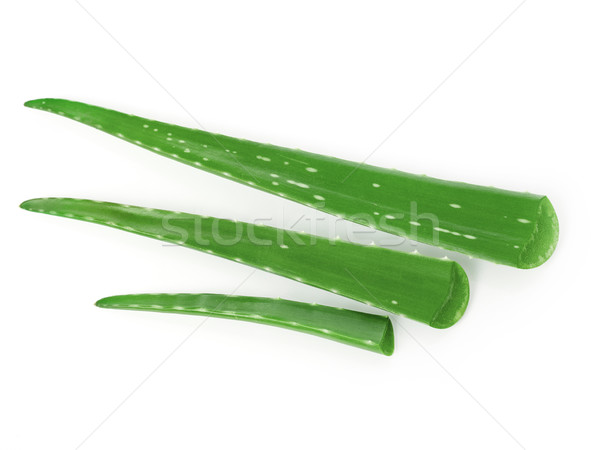 Taze aloe yalıtılmış beyaz gıda yaprak Stok fotoğraf © goir