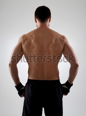 肌肉發達 軀幹 赤膊上陣 孤立 灰色 身體 商業照片 © goir