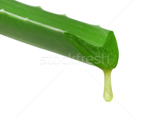 Aloesu spadek odizolowany biały żywności Zdjęcia stock © goir