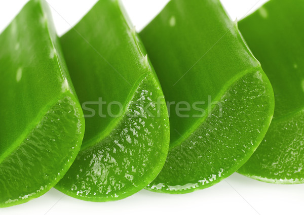 Aloe isoliert weiß Essen Blatt Stock foto © goir