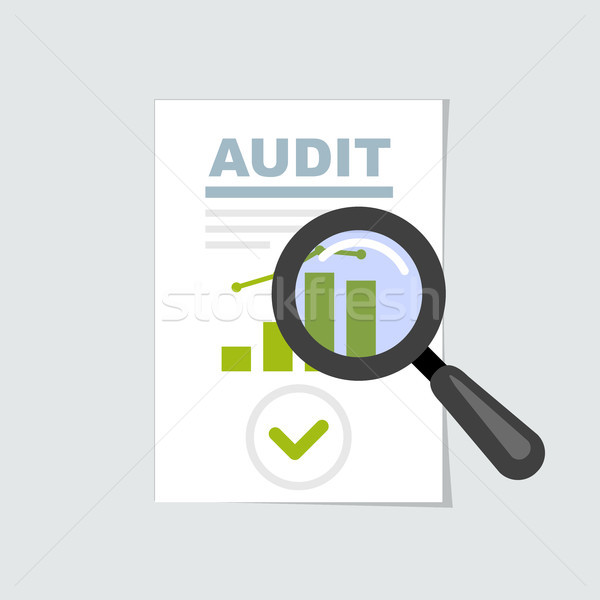 Audit and report icon - magnifier on, verification and review co Stock photo © gomixer
