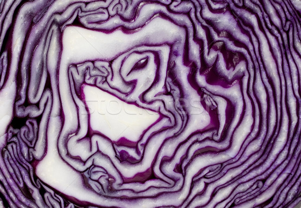 Purple Cabbage Background Stock photo © Gordo25