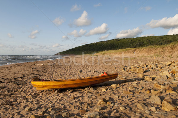 Wooden Boat on the Beach Stock photo © Gordo25