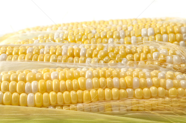 Selective Corn on the Cob Stock photo © Gordo25
