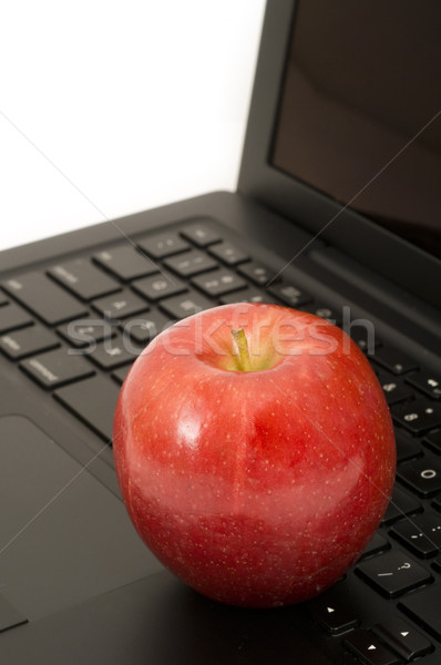 Apfel Laptop roten Apfel ruhend Laptop-Tastatur Gesundheit Stock foto © Gordo25