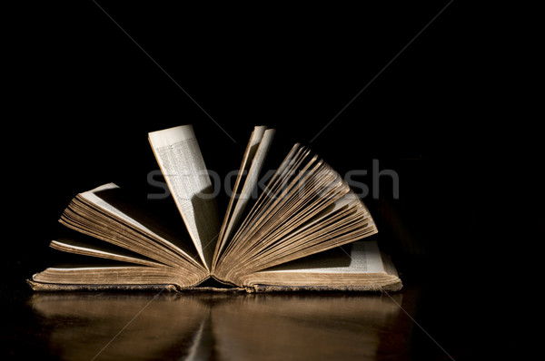 открытых антикварная Библии высокий контраст свет Сток-фото © Gordo25