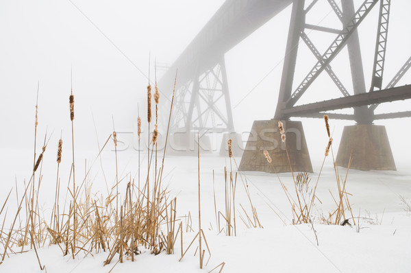 Tren pod pierdut ceaţă prim plan metal Imagine de stoc © Gordo25
