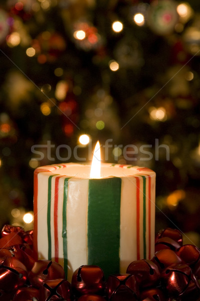 キャンディ 縞模様の キャンドル 選択的な クリスマスツリー ソフト ストックフォト © Gordo25