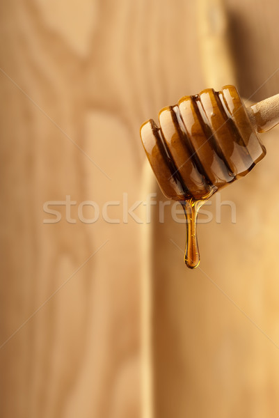 Honey focus play Stock photo © gorgev