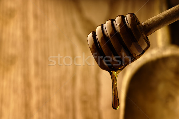 Wood Honey dipper Stock photo © gorgev