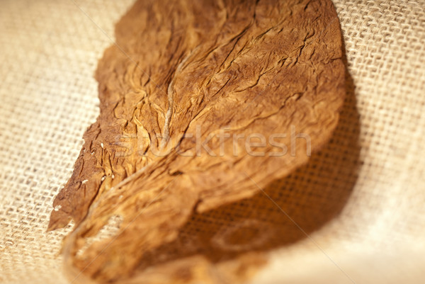 Foto stock: Tabaco · macro · secado · hoja · luz · textura