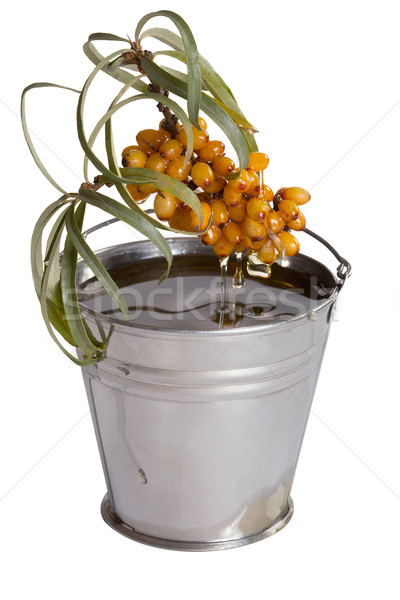 Oil of sea-buckthorn berries. Stock photo © Goruppa