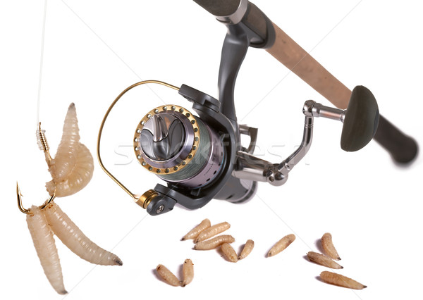 Good bait for fishing. Stock photo © Goruppa