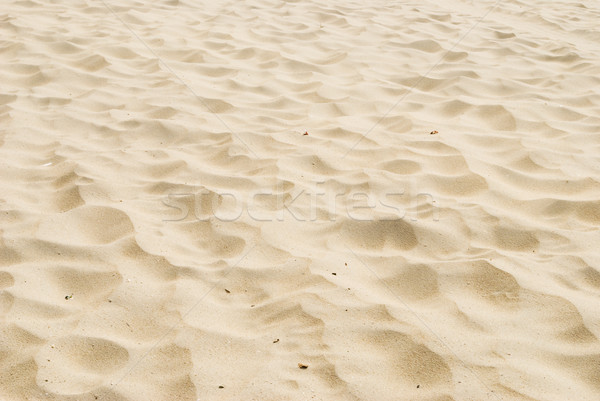 Spiaggia di sabbia texture spiaggia abstract natura deserto Foto d'archivio © Grafistart
