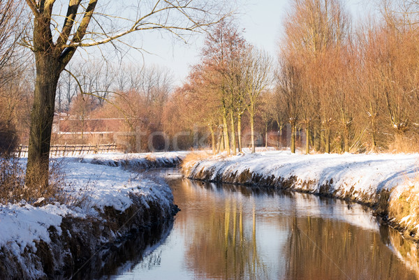 Wasser Stream Winter Landschaft Baum Schnee Stock foto © Grafistart