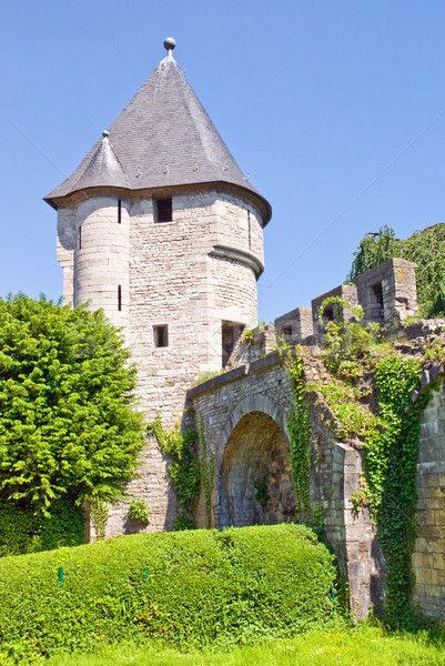 Mittelalterlichen Vater Verteidigung Turm Wand grünen Stock foto © Grafistart