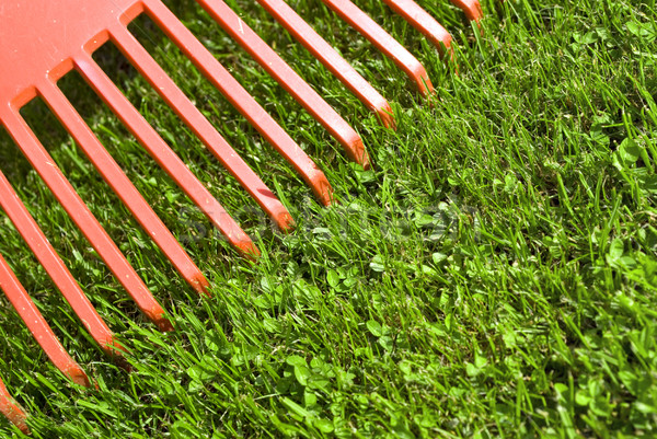Rot Garten abstrakten Rake Detail grünen Gras Stock foto © Grafistart