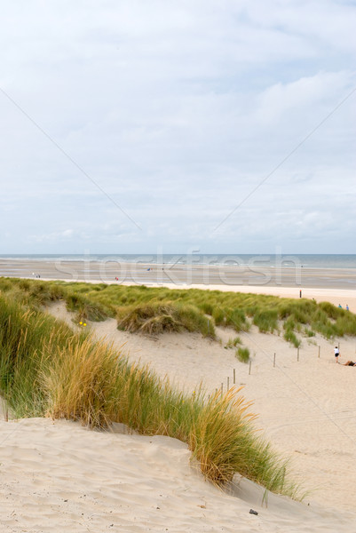 Beach and dunes Stock photo © Grafistart