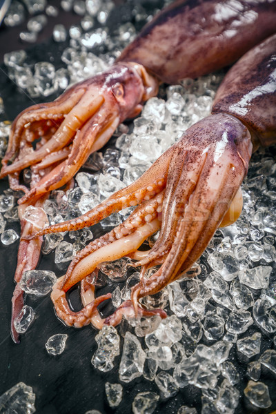 Stock photo: Fresh cuttlefish