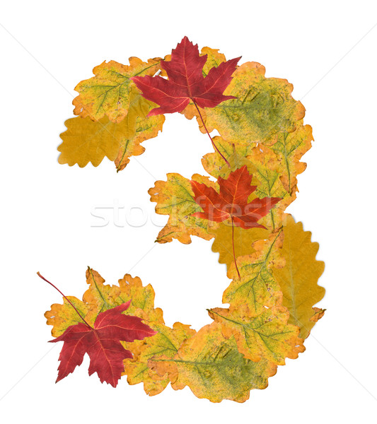 Number of autumn leaves . Number 3 Stock photo © grafvision