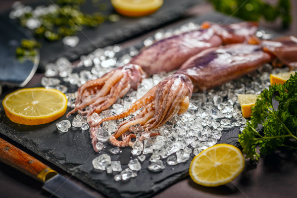 Fresh cuttlefish Stock photo © grafvision