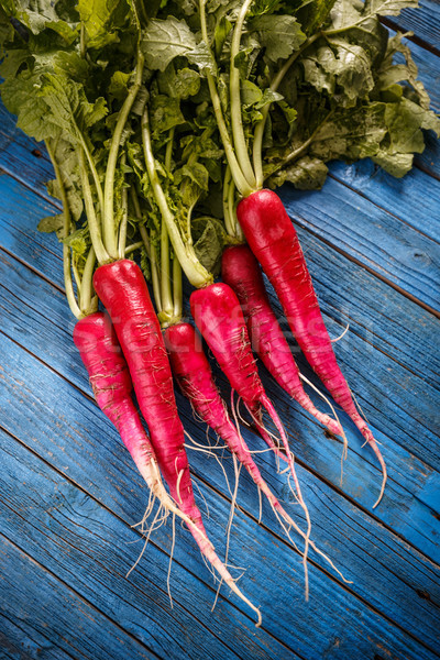 Bunch of fresh long radish Stock photo © grafvision