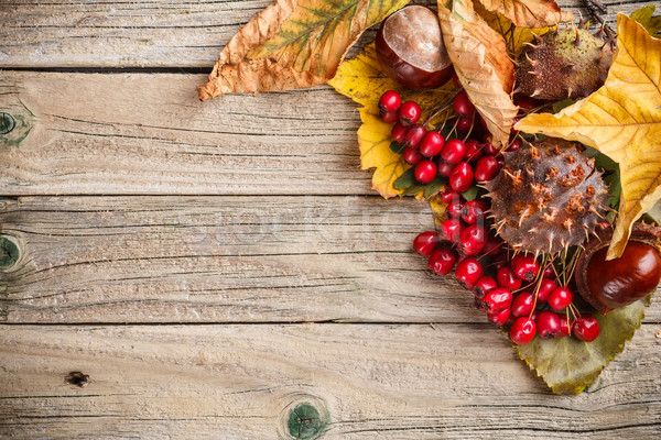 Border made of autumn leaves Stock photo © grafvision