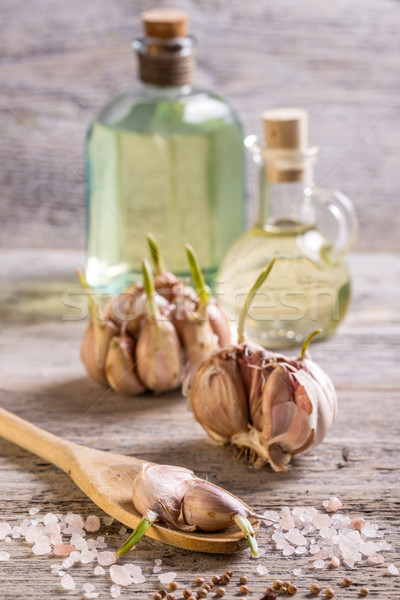 Garlic  Stock photo © grafvision