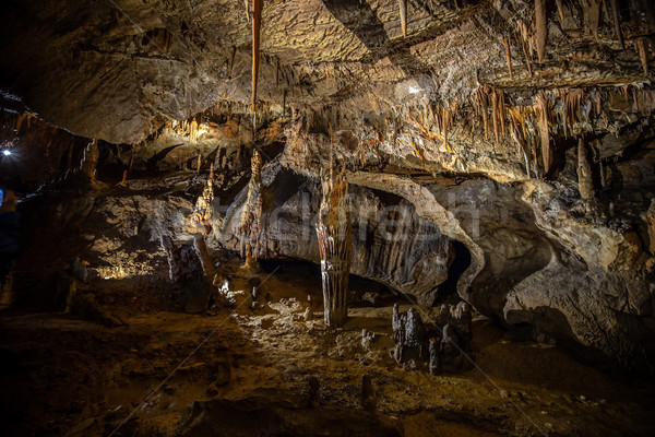 Inside cave scene. Stock photo © grafvision