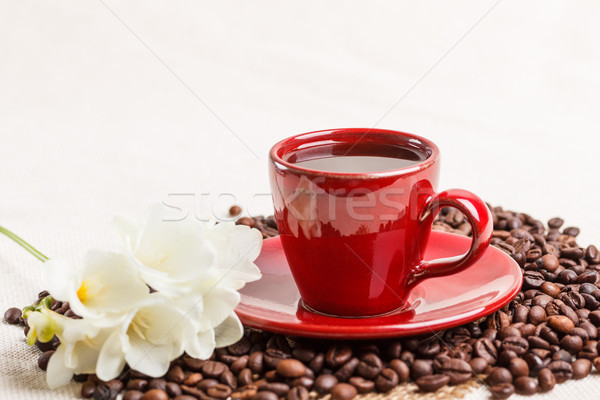 Taza de café granos de café flor fondo rojo negro Foto stock © grafvision