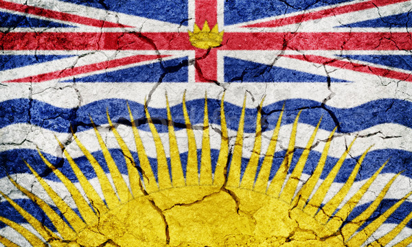 Kanada bayrak kuru toprak zemin doku Stok fotoğraf © grafvision