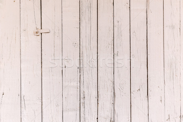 Blanco textura de madera naturales patrones madera diseno Foto stock © grafvision