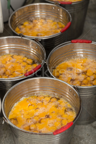 Stock photo: Eggs in tub
