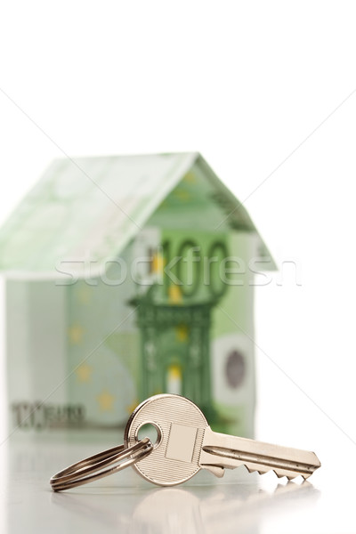 House made from euro bills Stock photo © grafvision