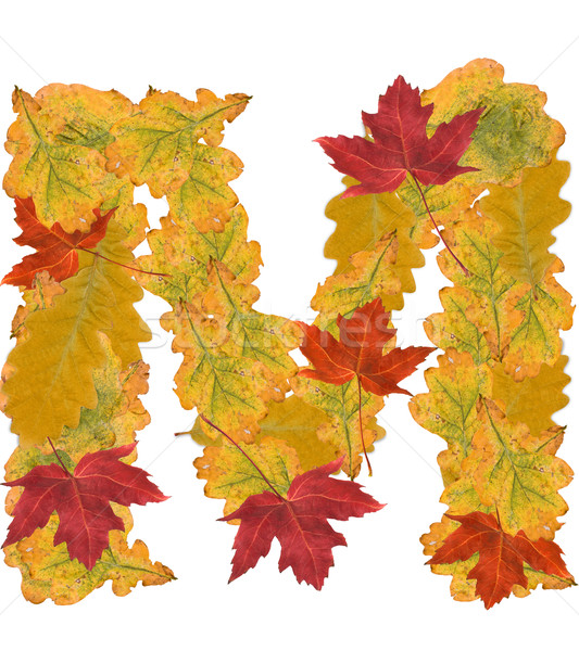 autumn leaves letter Stock photo © grafvision